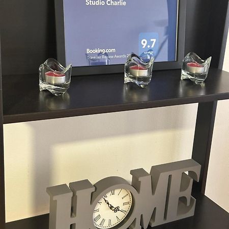 Charlie Aviv Park Apartman Belgrád Kültér fotó