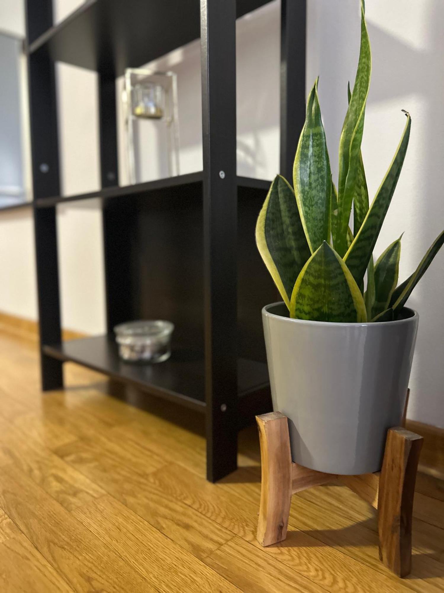 Charlie Aviv Park Apartman Belgrád Kültér fotó